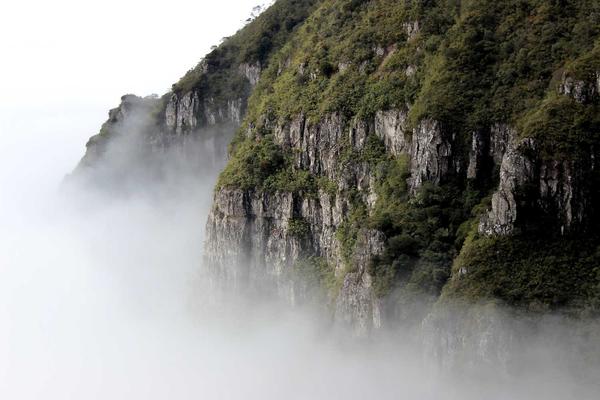 2026年世界杯主题视觉，足球场与球迷欢呼的盛大体育赛事场景