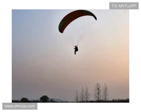 北京极限运动队心理素质深度对比分析与影响因素探讨