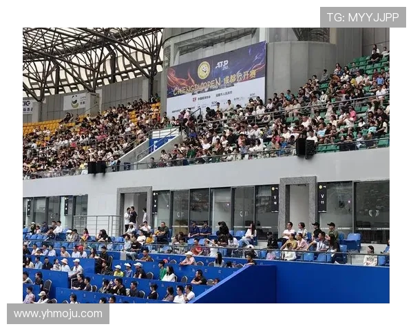 成都网球队与深圳网球队赛后复盘分析团队协作与战术执行的成功与不足